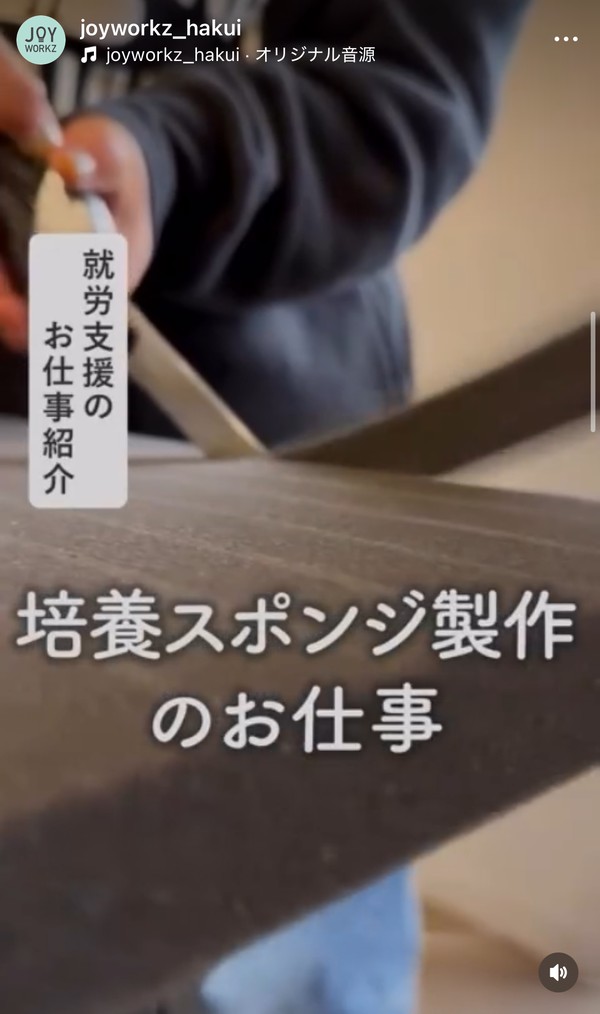 培養スポンジを制作する仕事の紹介